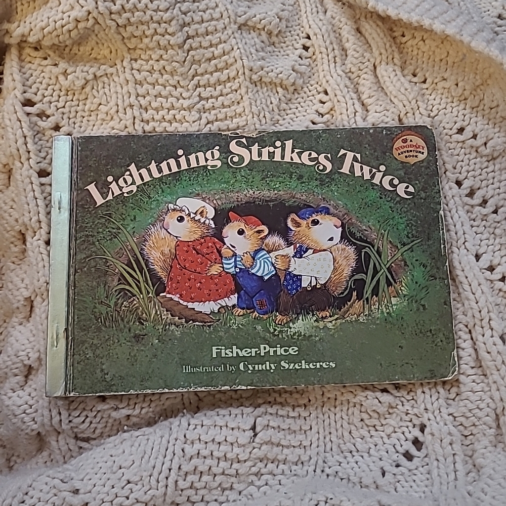 Fisher-Price 'Lightning Strikes Twice' Book